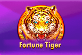 Fortune Tiger slot game